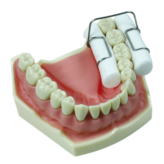 Porte-rouleaux Salivaires